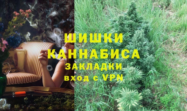 прущие грибы Алзамай