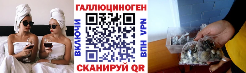 Псилоцибиновые грибы GOLDEN TEACHER Фатеж